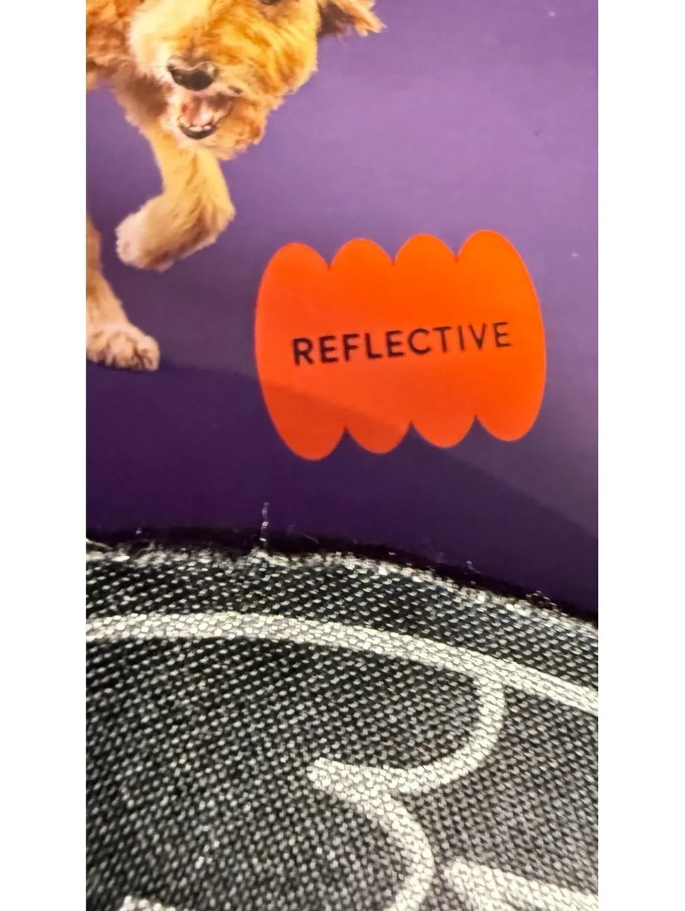 Roots & Barkley Reflective Pet Costume Wings Small/Medium for Dogs up to 40 lbs